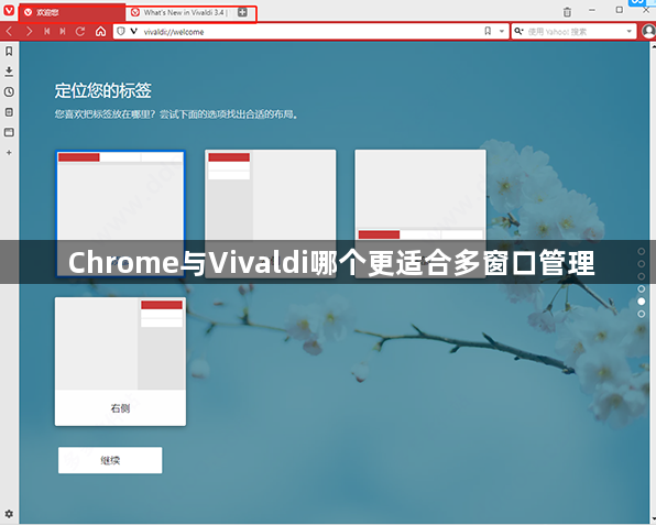 Chrome与Vivaldi哪个更适合多窗口管理