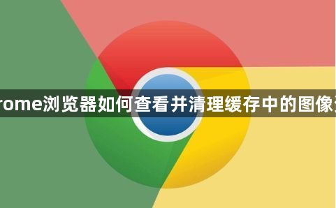 Chrome浏览器如何查看并清理缓存中的图像资源