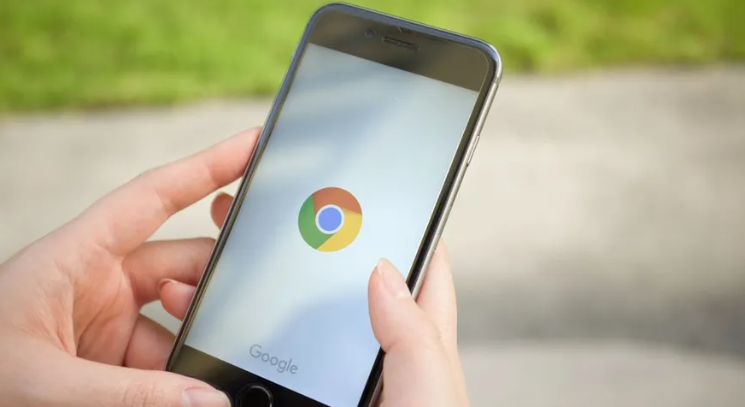Google Chrome浏览器下载包安全校验流程