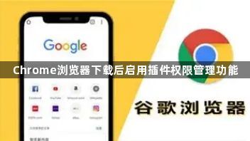 Chrome浏览器下载后启用插件权限管理功能1