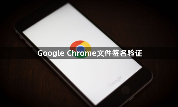 Google Chrome文件签名验证1