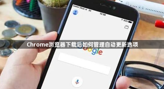 Chrome浏览器下载后如何管理自动更新选项1