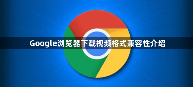 Google浏览器下载视频格式兼容性介绍1