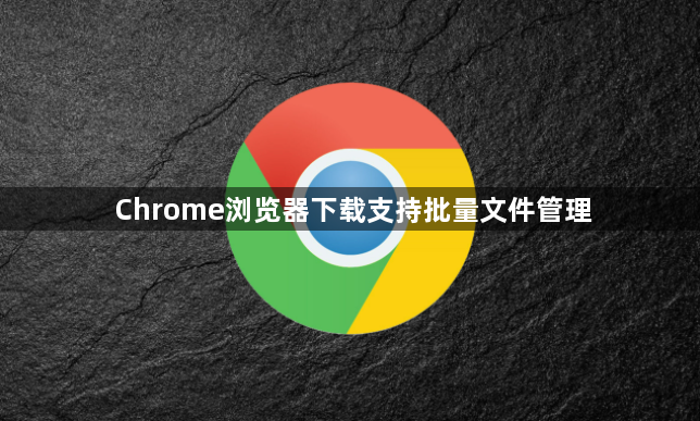 Chrome浏览器下载支持批量文件管理1