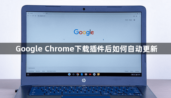 Google Chrome下载插件后如何自动更新1