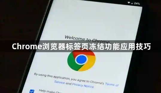Chrome浏览器标签页冻结功能应用技巧1