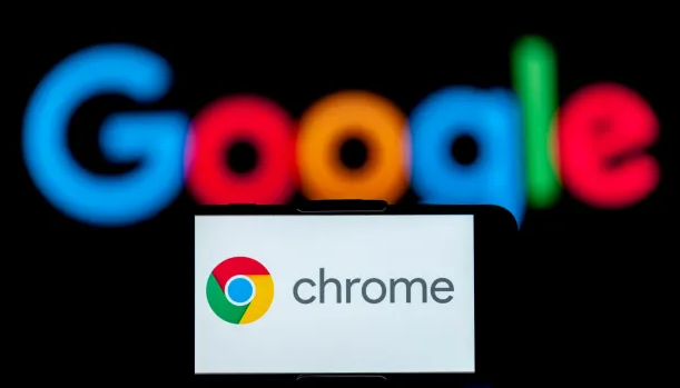 Chrome浏览器下载链接点击后白屏解决方法1