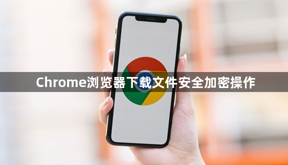 Chrome浏览器下载文件安全加密操作1