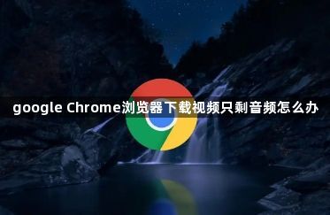 google Chrome浏览器下载视频只剩音频怎么办1
