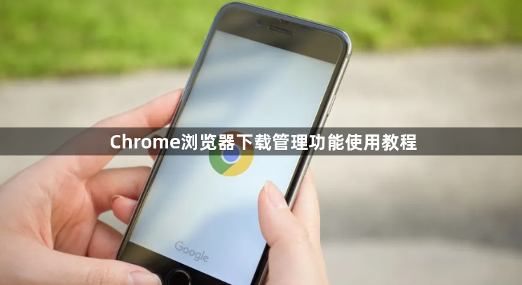 Chrome浏览器下载管理功能使用教程1