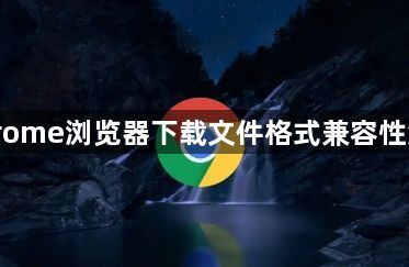 Chrome浏览器下载文件格式兼容性测试1