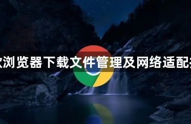 谷歌浏览器下载文件管理及网络适配技巧1