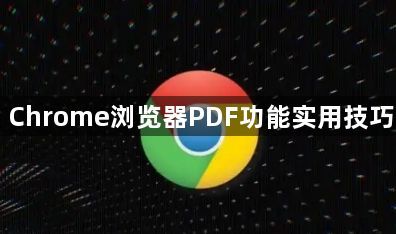 Chrome浏览器PDF功能实用技巧1