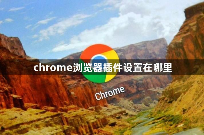 chrome浏览器插件设置在哪里