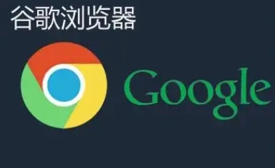 google浏览器下载与基础功能使用指南