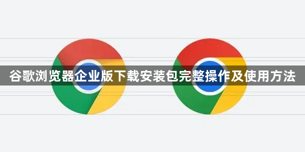 谷歌浏览器企业版下载安装包完整操作及使用方法1