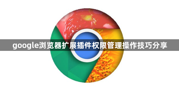 google浏览器扩展插件权限管理操作技巧分享1