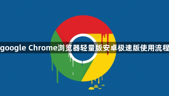 google Chrome浏览器轻量版安卓极速版使用流程1