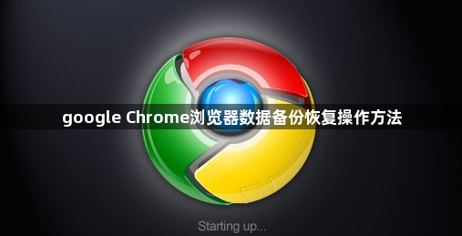 google Chrome浏览器数据备份恢复操作方法1