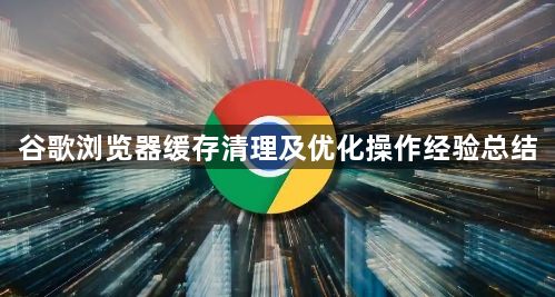谷歌浏览器缓存清理及优化操作经验总结1