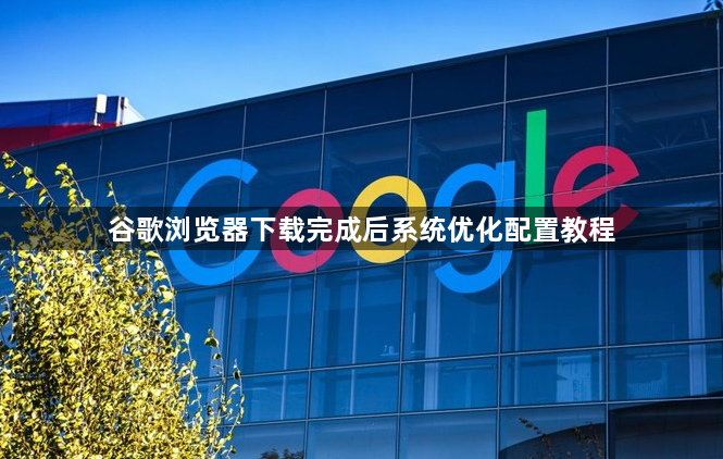 谷歌浏览器下载完成后系统优化配置教程1