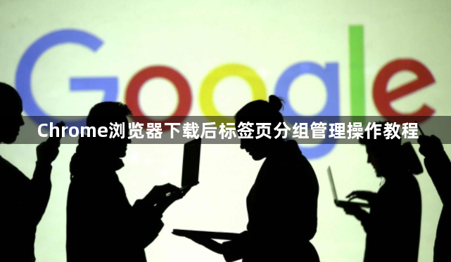 Chrome浏览器下载后标签页分组管理操作教程1